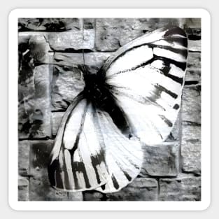 Butterfly Black and White Spray Paint Wall Sticker